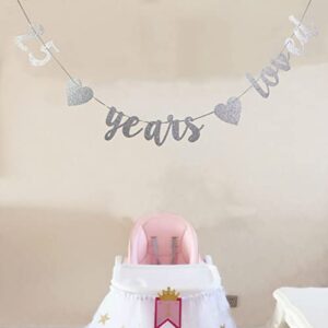 StarsGarden Glitter 25 Years Loved Banner – It's My Fabulous 25th Banner -25th Birthday Banner Decorations - Cheers to 25 Years Milestone Happy Birthday Decorations(Silver 25)