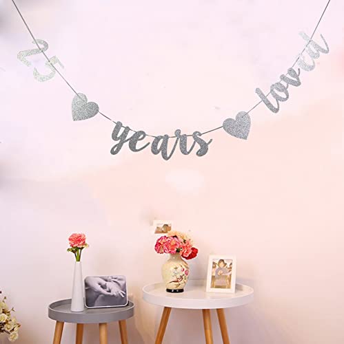 StarsGarden Glitter 25 Years Loved Banner – It's My Fabulous 25th Banner -25th Birthday Banner Decorations - Cheers to 25 Years Milestone Happy Birthday Decorations(Silver 25)