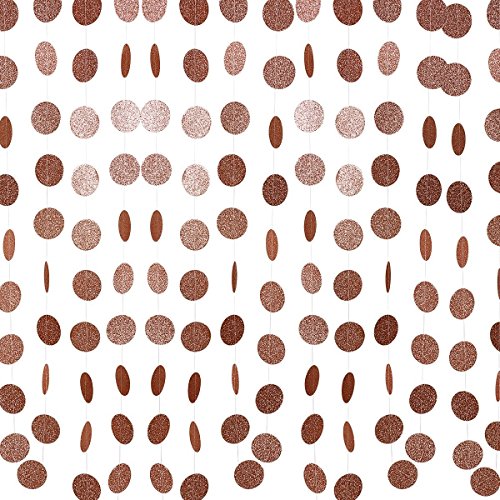 Rose Gold and Silver Birthday Party Decoration- Happy Birthday Banner Rose Gold Glitter Circle Dots Garland and Rose Gold & Silver Hanging Swirls,Birthday Decorations for Women,Baby Shower Party Decorations Supplies