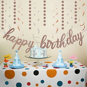 Rose Gold and Silver Birthday Party Decoration- Happy Birthday Banner Rose Gold Glitter Circle Dots Garland and Rose Gold & Silver Hanging Swirls,Birthday Decorations for Women,Baby Shower Party Decorations Supplies