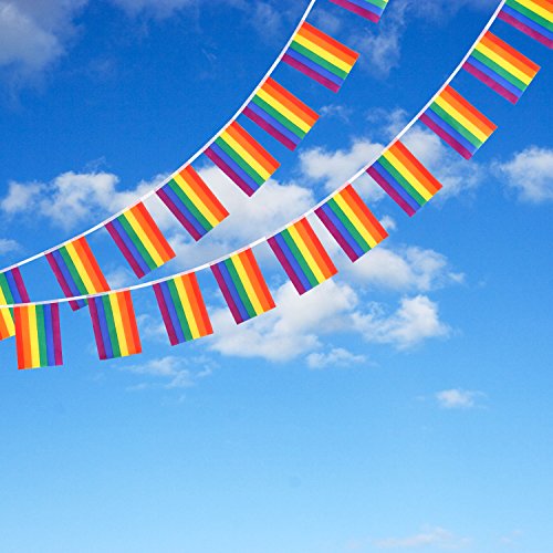 Whaline 38 Flags Gay Pride Banner, Rainbow String Bunting Indoor/Outdoor for LGBT Festival Party Celebration Decoration