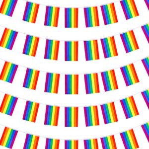 Whaline 38 Flags Gay Pride Banner, Rainbow String Bunting Indoor/Outdoor for LGBT Festival Party Celebration Decoration