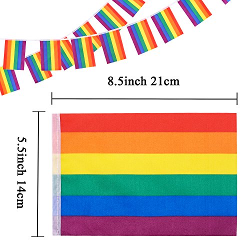 Whaline 38 Flags Gay Pride Banner, Rainbow String Bunting Indoor/Outdoor for LGBT Festival Party Celebration Decoration