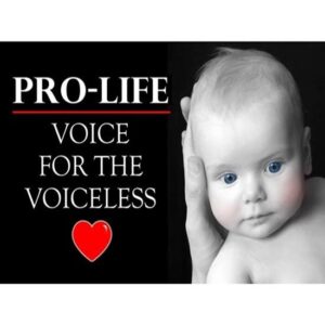 CafePress Pro Life Voice for The Voiceless Vinyl Banner, 44"x30" Hanging Sign, Indoor/Outdoor