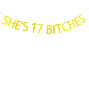 she’s 17 bitches banner for 17th birthday party decorations funny hanging gold banner risehy