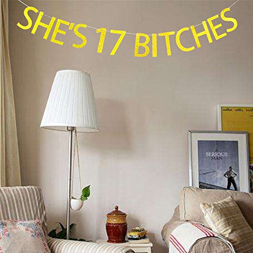 She's 17 bitches banner for 17th birthday party decorations funny hanging gold banner Risehy