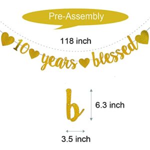 WEIANDBO 10 Years Blessed Gold Glitter Banner,Pre-Strung,10th Birthday / Wedding Anniversary Party Decorations Bunting Sign Backdrops,10 Years Blessed