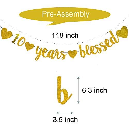 WEIANDBO 10 Years Blessed Gold Glitter Banner,Pre-Strung,10th Birthday / Wedding Anniversary Party Decorations Bunting Sign Backdrops,10 Years Blessed