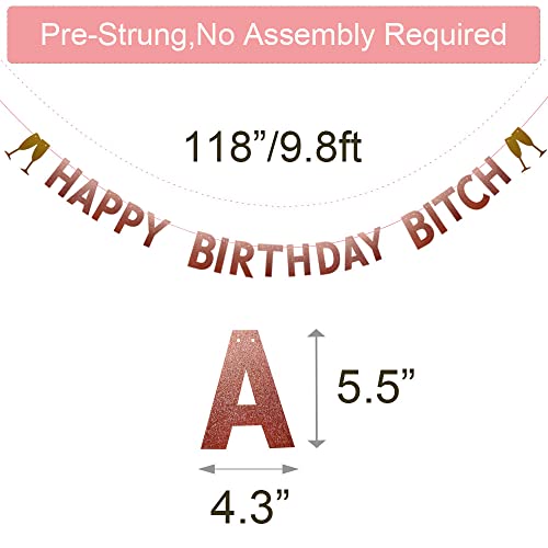 HAPPY BIRTHDAY BITCH Banner,Pre-strung,No Assembly Required, Birthday Party Decorations, Rose Gold Glitter Paper Garlands Backdrops,Letters Rose Gold Betteryanzi