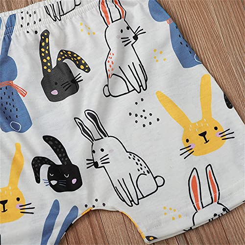 Toddler Baby Boy Girl Easter Shirt Top ＋Bunny Pants Unisex Summer Clothes Outfit Sets 2Pcs