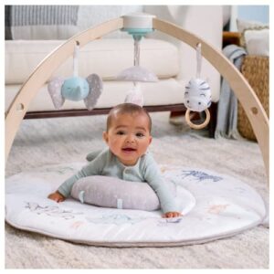 aden + anais play and discover baby activity gym – 30+ developmental benefits – 3 attachable toys + plush tummy time pillow – 100% cotton muslin – machine washable