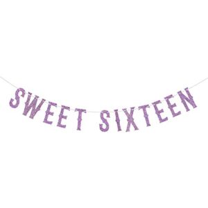 purple glitter sweet sixteen banner, hello 16 / i’m 16 bitches/sweet 16 party decorations, 16th birthday party decoration supplies photo props bunting sign
