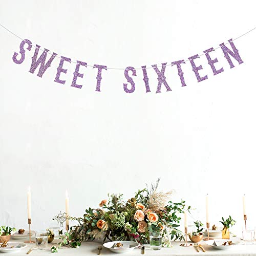 Purple Glitter Sweet Sixteen Banner, Hello 16 / I'm 16 Bitches/Sweet 16 Party Decorations, 16th Birthday Party Decoration Supplies Photo Props Bunting Sign