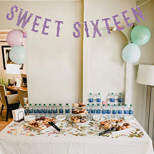 Purple Glitter Sweet Sixteen Banner, Hello 16 / I'm 16 Bitches/Sweet 16 Party Decorations, 16th Birthday Party Decoration Supplies Photo Props Bunting Sign