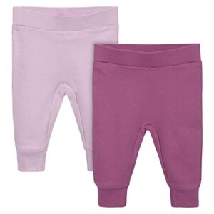 gerber baby girls 2-pack pants, pink, 3-6 months