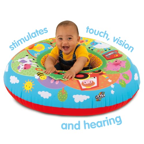 Galt Toys, Playnest - Farm, Baby Activity Center & Floor Seat, Ages 0 Months Plus