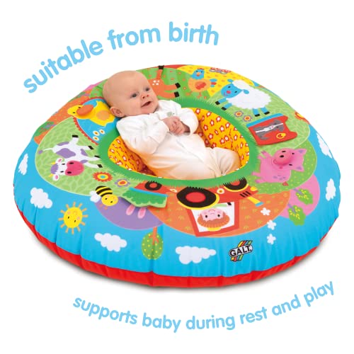 Galt Toys, Playnest - Farm, Baby Activity Center & Floor Seat, Ages 0 Months Plus