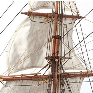 Occre 12005 HMS Beagle Detailed Scale Modelling Kit