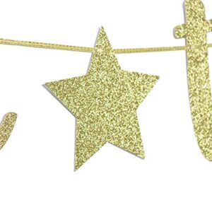 Twinkle Twinkle Little Star Banner, Glitter Birthday Banner, Baby Shower, Holiday Party Decorations (Gold)