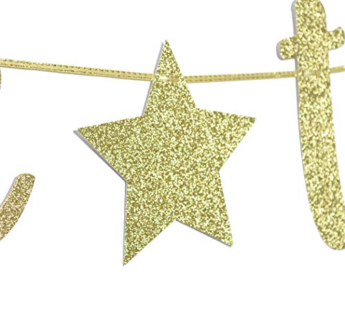 Twinkle Twinkle Little Star Banner, Glitter Birthday Banner, Baby Shower, Holiday Party Decorations (Gold)