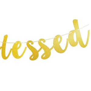 Twice Blessed Banner, Gold Glitter Twins Baby Shower Party Sign Decoration Supplies