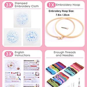 TINDTOP Beginners Embroidery Stitch Practice kit, Embroidery Kit for Beginners Include Embroidery Cloth Hoops Threads for Craft Lover Hand Stitch with Embroidery Skill Techniques (Colorful)