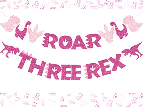 Three Rex Banner Rose Red and Dinosaur ROAR Garland Glitter for Girls 3rd Birthday Dinosaur Party Supplies, Pink Dinosaur Party Decorations