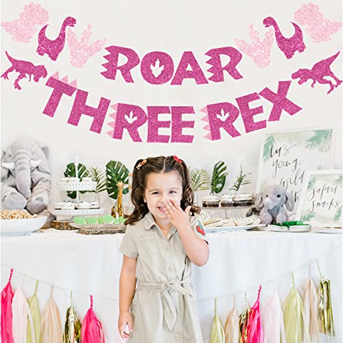 Three Rex Banner Rose Red and Dinosaur ROAR Garland Glitter for Girls 3rd Birthday Dinosaur Party Supplies, Pink Dinosaur Party Decorations