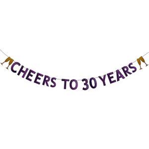 cheers to 30 years banner, pre-strung, purple paper glitter party decorations for 30th wedding anniversary 30 years old 30th birthday party supplies letters purple zhaofeihn