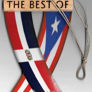 PUERTO RICO AND DOMINICAN REPUBLIC DOMIRICAN BORICUA DOMINICANO CARIBBEAN REARVIEW MIRROR MINI BANNER HANGING FLAGS FOR THE CAR UNITY FLAGZ™