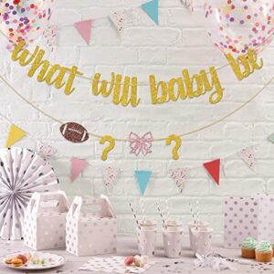 Dalaber What Will Baby Be Banner, Footballs or Bows Bunting Banner for Baby Shower Gender Receal Party Decoration, Boy or Girl/He or She/Brother or Sister Gender Reveal Party Supplies