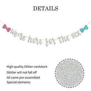 WeBenison Silver Glitter We're Here for The Sex Banner for Baby Shower Party Decor Boy or Girl Gender Reveal Party Supplies