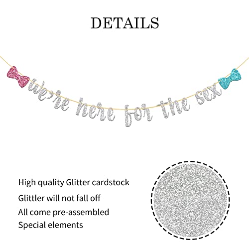 WeBenison Silver Glitter We're Here for The Sex Banner for Baby Shower Party Decor Boy or Girl Gender Reveal Party Supplies