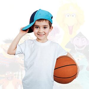 Cookie Monster Toddler Hat for Boys, Sesame Street Toddler Baseball Cap, Sesame Street Toddler Baseball Hat with Cookie Monster