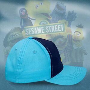 Cookie Monster Toddler Hat for Boys, Sesame Street Toddler Baseball Cap, Sesame Street Toddler Baseball Hat with Cookie Monster