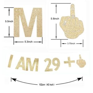 Morndew Gold Gliter I AM 29+1 Paper Banner for 30th Birthday Party Sign Backdrops Funny/Gag 30 Bday Party Wedding Anniversary Celebration Party Retirement Party Decorations