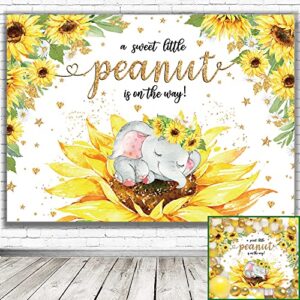 a sweet little peanut baby shower photo background, sunflower elephant baby shower party decorations backdrop, newborn girls baby shower party decorations banner backdrops (7x5ft)