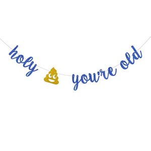 holy shit you’re old banner,pre-strung,funny blue glitter garlands for 21st 30th 40th 50th 60th 70th 80th 90th birthday party decorations supplies,letters blue,zhaofeihn