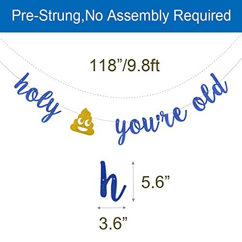 Holy Shit You're Old Banner,Pre-Strung,Funny Blue Glitter Garlands for 21st 30th 40th 50th 60th 70th 80th 90th Birthday Party Decorations Supplies,Letters Blue,ZHAOFEIHN