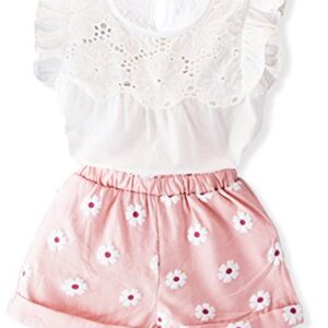 oklady Toddler Girl Clothes Ruffle Floral Embroidery Shirt and Shorts Set (Pink-A, 3-4 T)