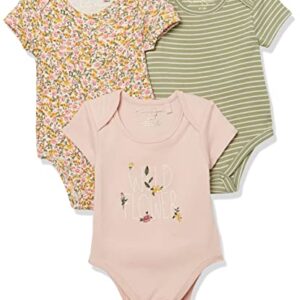 Jessica Simpson Girls' 3-Pack Short Sleeve Bodysuit, Fall Floral, 6-9 Months