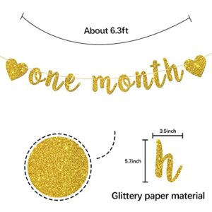 INNORU One Month Banner, Baby Shower Party Decorations, Newborn Sign Banner, New Baby - Gender Reveal - Happy 30 Days Party Decorations, Gold Glitter