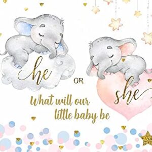 He or She Elephant Gender Reveal Backdrop Soft Cloud and Stars What Will Our Baby Be Boy or Girl Baby Shower Background Decoration Banner 200x150cm W-8192