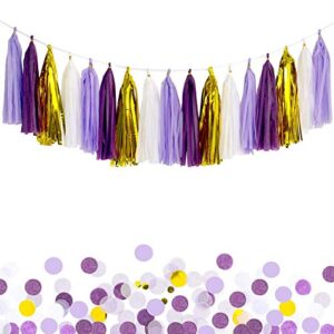 ansomo purple tissue paper tassel garland party banner – 20 pcs (purple/lavender/white/gold)