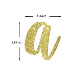 I'm 21 B-tches! Banner, Girls/Ladies/Friends 21st Bday Party Gold Gliter Paper Sign Backdrops