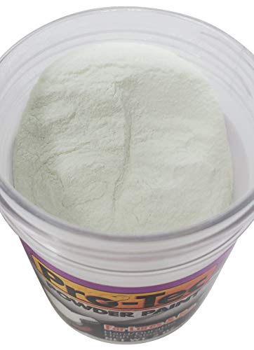 Pro-Tec Powder Paint 2 oz Jar (Glow White)