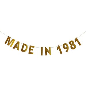 made in 1981 banner, pre-strung ,42nd birthday party decorations supplies, gold glitter paper garlands backdrops, letters gold betteryanzi
