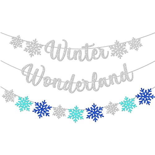 3PCS Exquisite Winter Wonderland Banners,Snowflake Christmas Banners Photo Props Banner  for Christmas Party Home Decorations