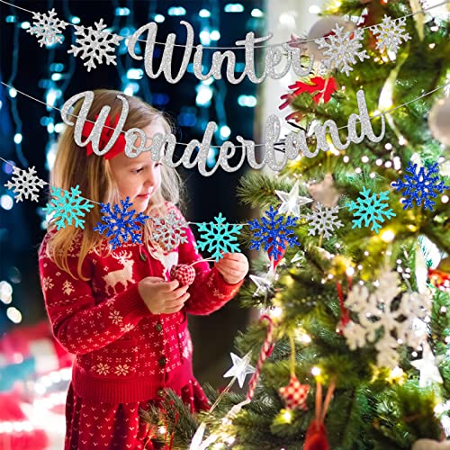 3PCS Exquisite Winter Wonderland Banners,Snowflake Christmas Banners Photo Props Banner  for Christmas Party Home Decorations