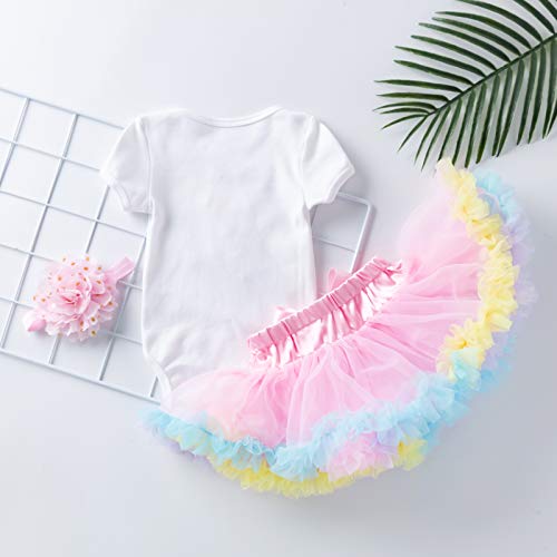 My 1st Easter Baby Romper Tutu Dress+Shiny Crown Headband Cake Smash Princess Pageant Dress Fancy Tulle Mesh Clothes 3PCS Skirt Set for Kids Newborn Infant Toddler Pink(3pcs) 3-6 Months